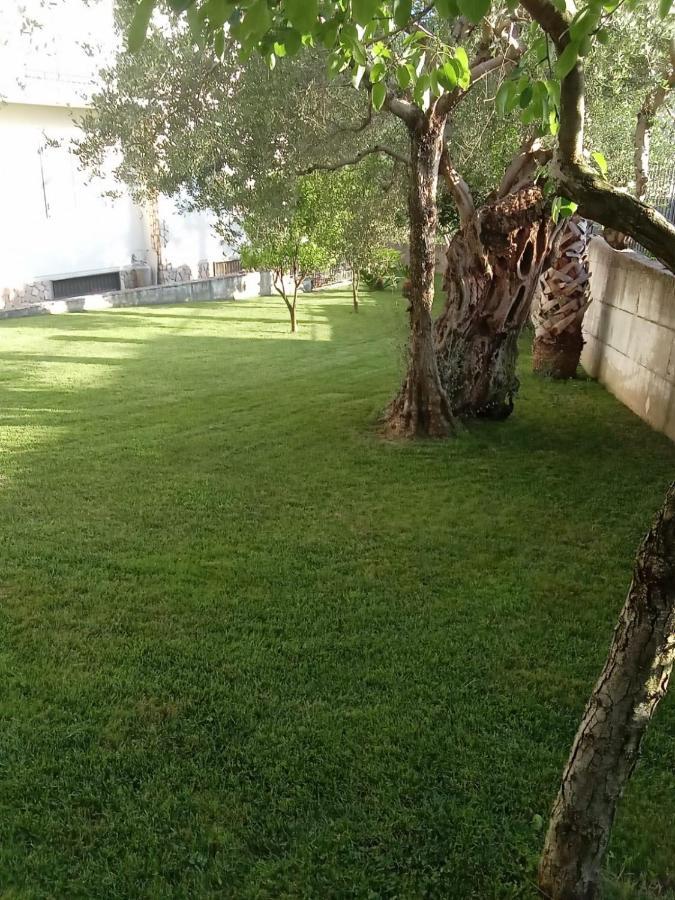 Villa Agata Forchia Εξωτερικό φωτογραφία