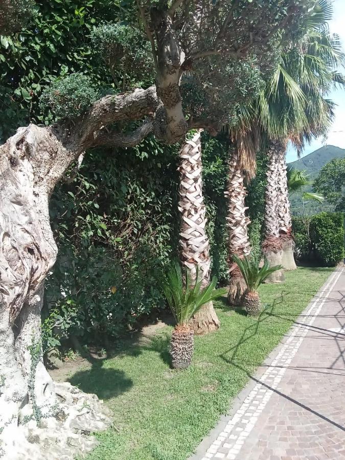 Villa Agata Forchia Εξωτερικό φωτογραφία