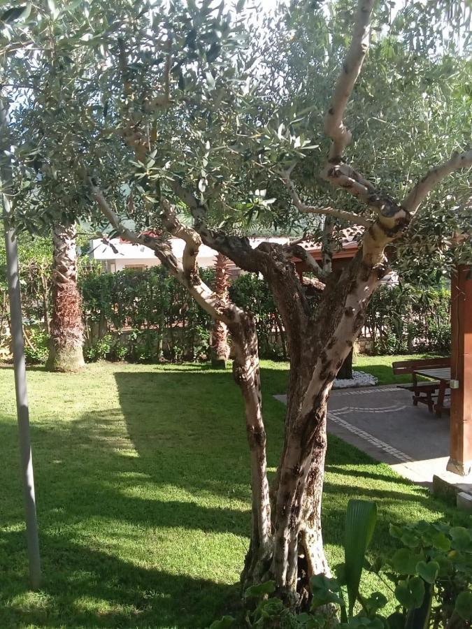 Villa Agata Forchia Εξωτερικό φωτογραφία