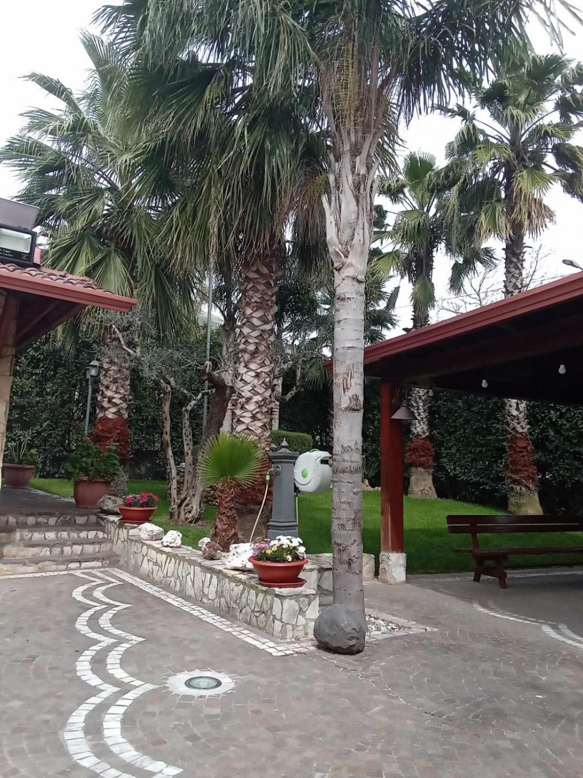 Villa Agata Forchia Εξωτερικό φωτογραφία